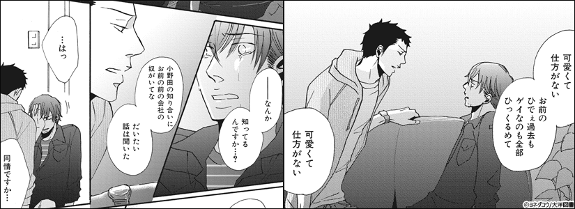 中身画像