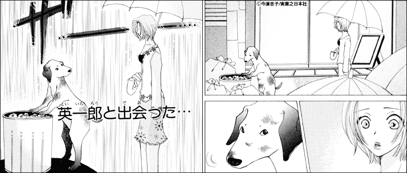 中身画像