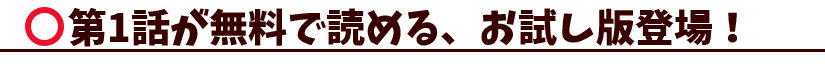 お試し版