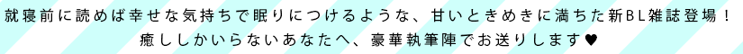 説明